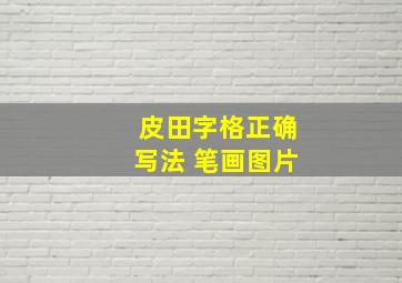 皮田字格正确写法 笔画图片